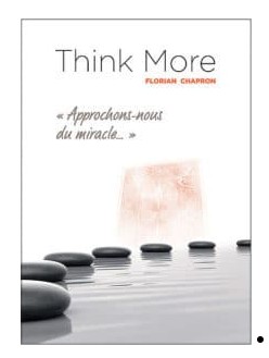 Think More de Florian CHAPRON - (C.A.A.N.) (French PDF) - Click Image to Close